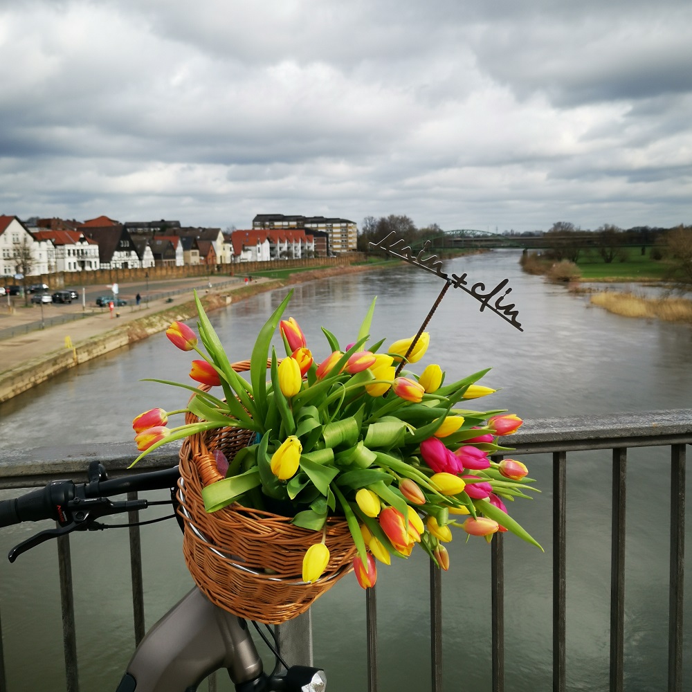 Foto: Blick von einer Brücke auf die Weser mit Blumen am Geländer