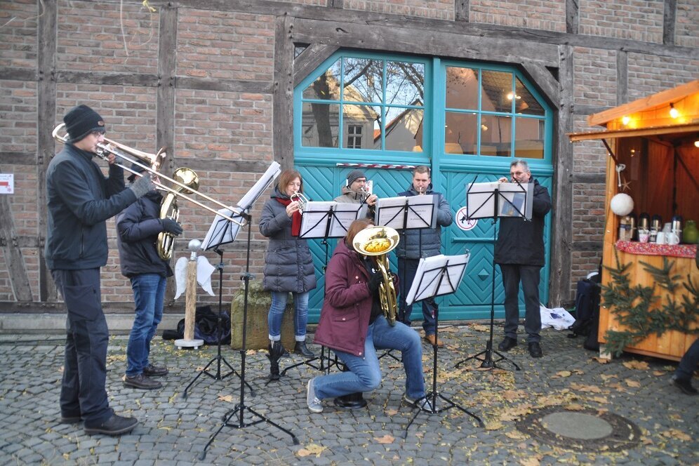 Kuscheliger Weihnachtsmarkt mit Alpakas am Heimatmuseum