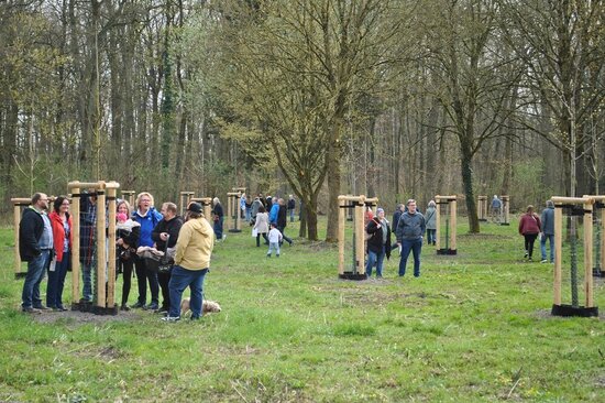 Auf der Suche nach dem Patenbaum Foto: Bürgerwald Langst