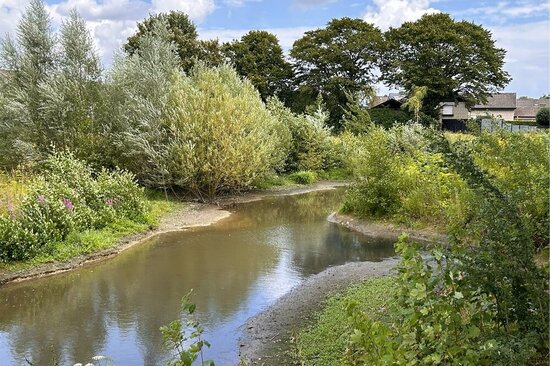 Foto: Blick auf die Werse mit niedrigem Wasserpegel