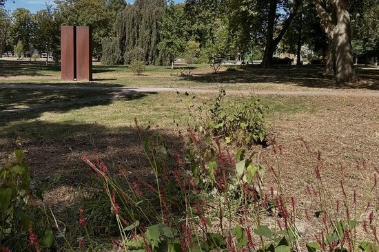 Zurückgeschnitten und gemulcht sind die Staudenbeete im Stadtpark. Die anhaltende Trockenheit stellt auch das Stadtgrün vor Probleme, so dass es im Hochsommer braun ist, wo es eigentlich grünen sollte.